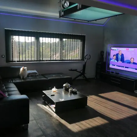Design Loft